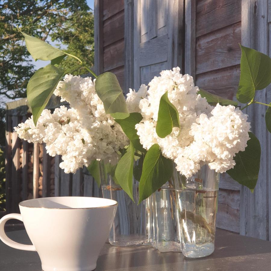 Ronehamn Bed And Breakfast Hemse Exterior foto